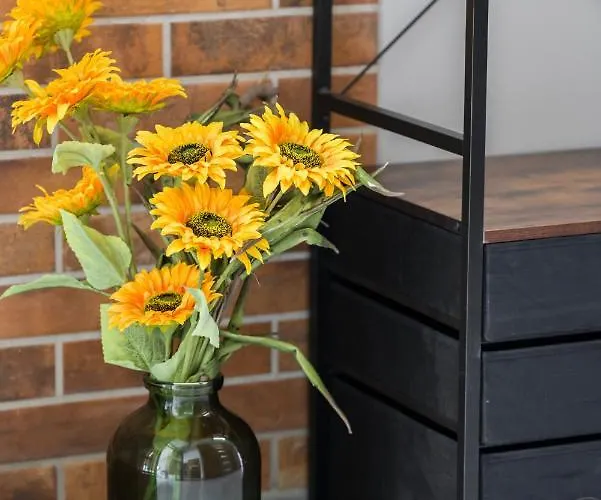 Family 62m - Sowia With Garage & Balcony By Renters 아파트 포즈난